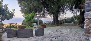 An outdoor patio with wicker furniture, potted plants, and a view of the sea. - AGRITURISMO  LA FOCAZZA (Ascea)
