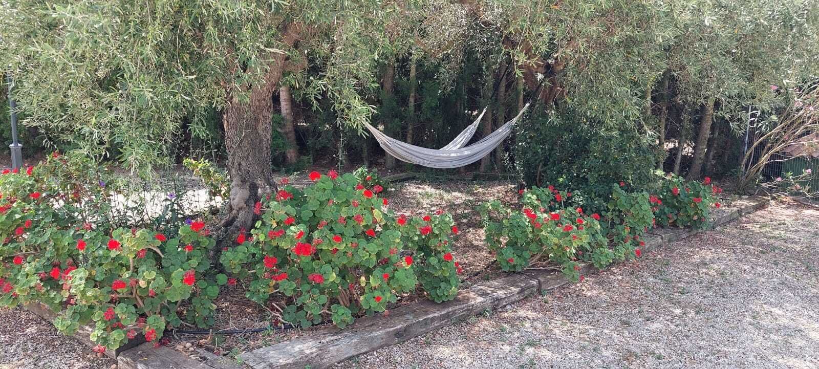 Un hamac dans un jardin, avec des fleurs rouges et des arbres.