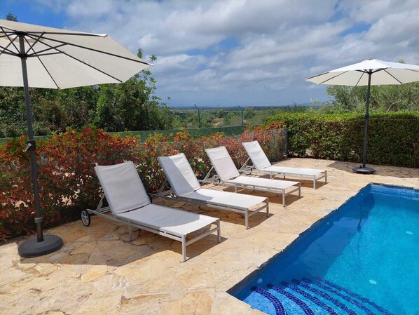 Seasonal outdoor pool, pool umbrellas, pool loungers - Villa Pardalot (Calig)