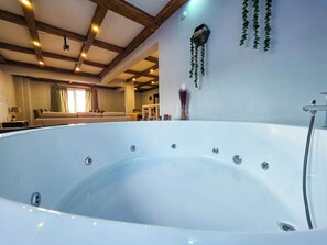 Interior - Villa Freya Sapanca A Luxurious Nature Escape 6x6m Private Heated Pool (Sakarya)