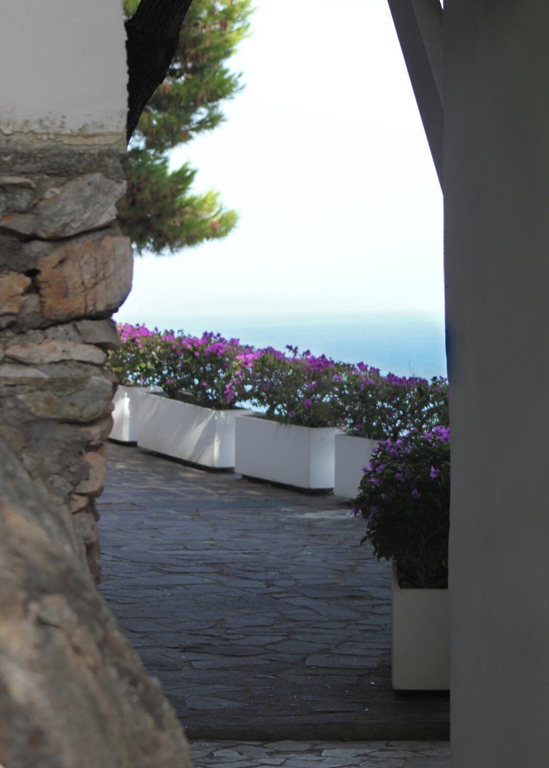 A stone pathway leading to a balcony with white planters and purple flowers, overlooking a body of water.
