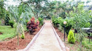 A stone pathway flanked by lush greenery and palm trees, leading to a covered area. - Balance Park Hotel  (Kisumu)