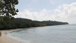 A beach with a sandy shore, calm water, and a forested hill in the background.