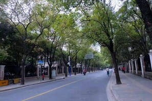 A tree-lined street with a sidewalk on one side and a road on the other. - Jitai Hotel (Shanghai Dahua 3rd Road Subway Station) (Shanghai)