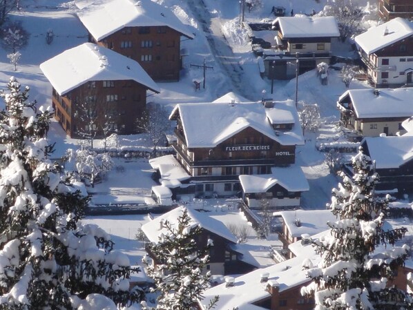 Aerial view - Fleur Des Neiges  (Morzine)