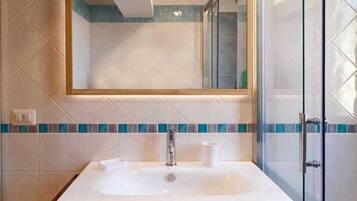 Shower, hair dryer, bidet, towels