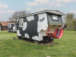 Una pequeña casa rodante con temática de vaca, con una ventana y una hamaca.