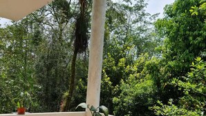 Un patio al aire libre con mesa y sillas, rodeado de abundante vegetación y árboles.