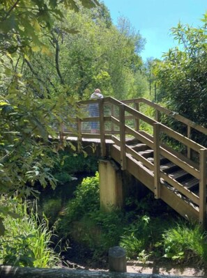 Property grounds - The Annexe at Riverside Cottage (Honiton)
