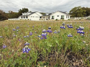 Boendeområde