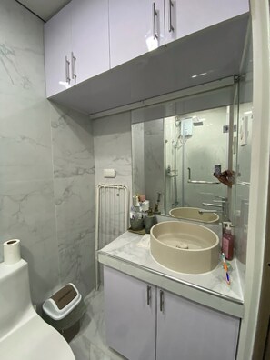 Douche, bidet, serviettes fournies, papier toilette