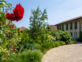 Un jardín con rosas rojas, un sendero de ladrillo y un edificio con tejado de tejas.