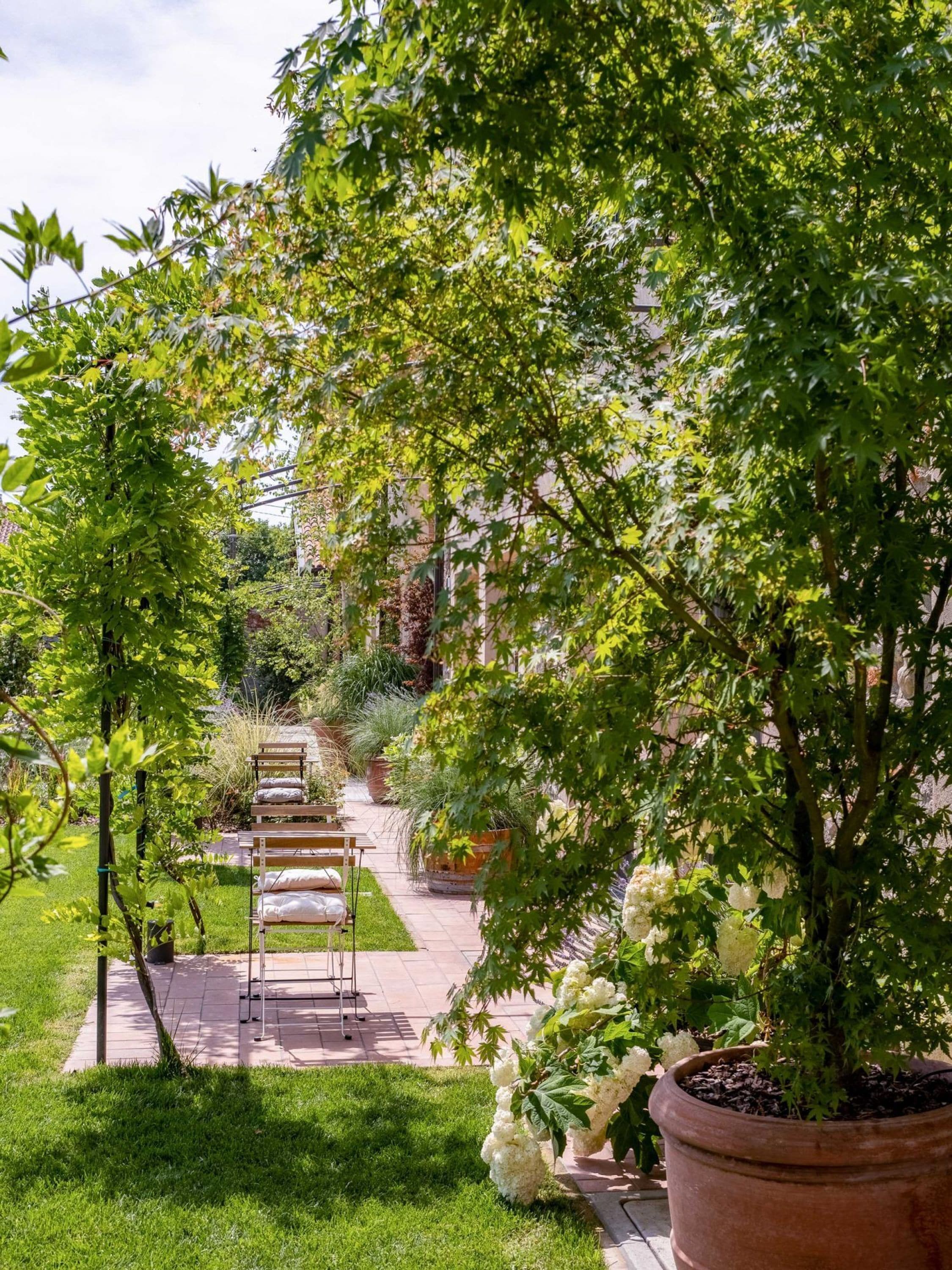 A garden pathway lined with potted plants and a bench.