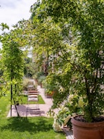 Un sendero en un jardín bordeado de plantas en macetas y un banco.
