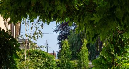 Green Lodge - Apartment 10 - 1 BR 1 Bath