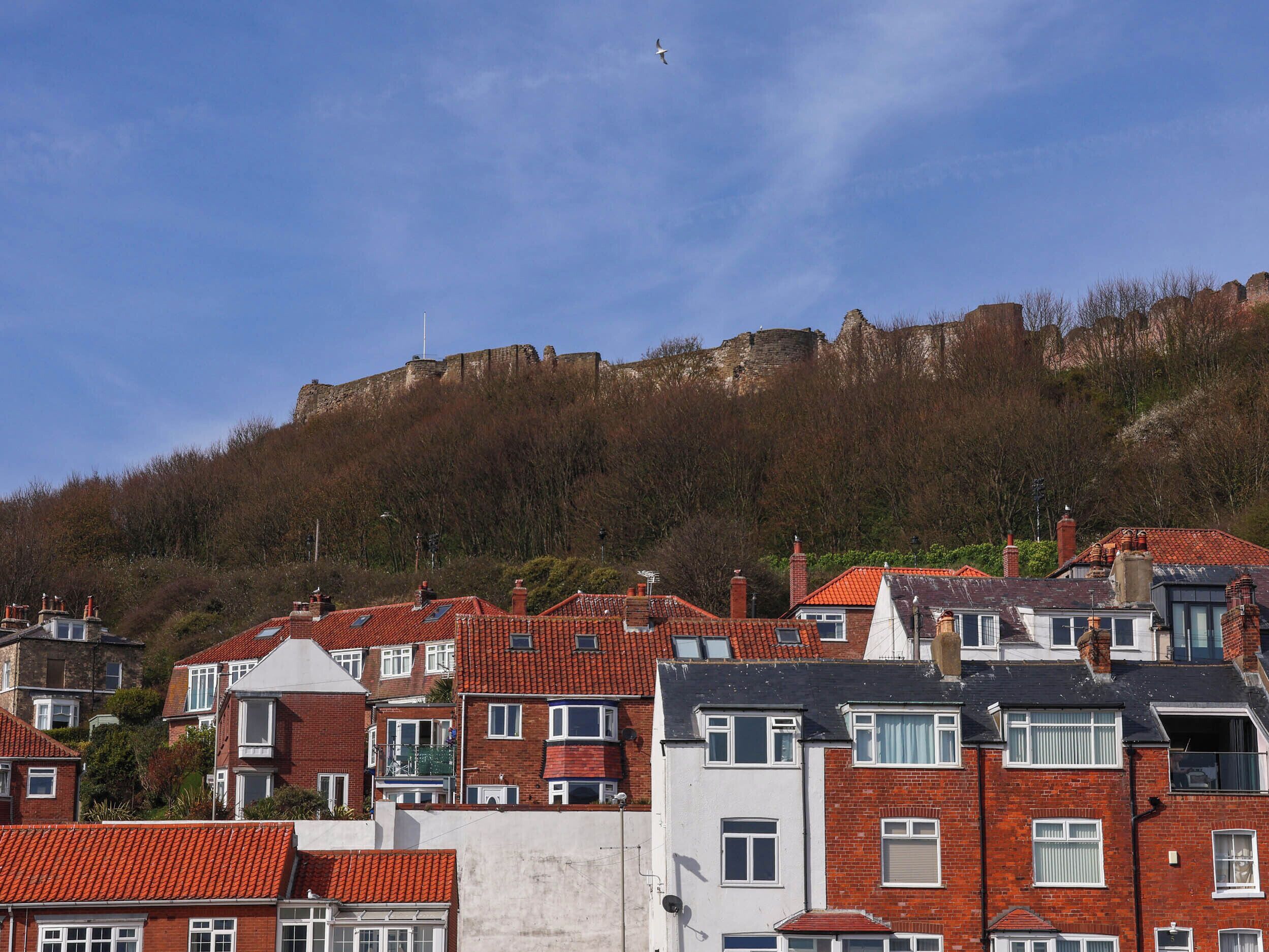 Un quartier résidentiel aux toits recouverts de tuiles rouges, une colline surmontée d’une structure ressemblant à un château, et un ciel bleu azur.