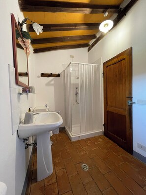 Shower, hair dryer, bidet, towels