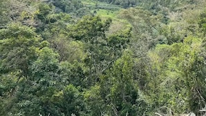 Un paisaje montañoso con vegetación densa y un valle.