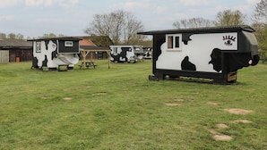 A series of cow-shaped mobile homes with a picnic table and a small shed in a grassy field. - Daisy (Woodbridge)