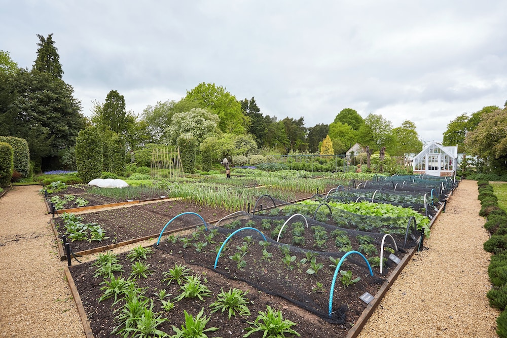 THE PIG-near Bath by null