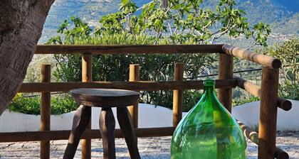 B&B La Scapola Superior room with terrace, in the hills, 2km from the sea