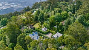 Un quartier résidentiel où les maisons sont entourées d’une végétation luxuriante et d’où l’on peut admirer une vue dégagée sur le paysage urbain en arrière-plan.