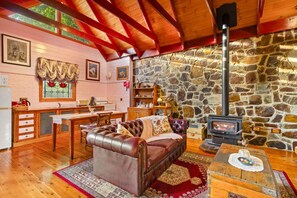 Televisión y chimenea 