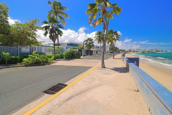 A coastal road with a sidewalk, palm trees, and a beach.