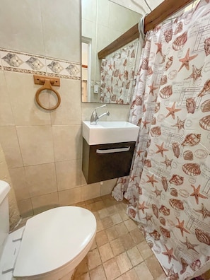 Shower, hair dryer, towels, shampoo