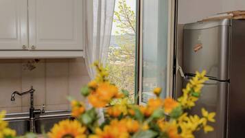 Apartamento, sacada | Cozinha privada | Cafeteira/chaleira