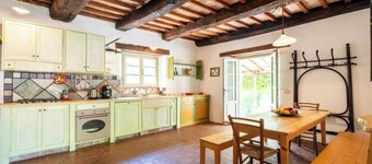 Podere Tepolino: among olive trees, quiet and Monte Amiata