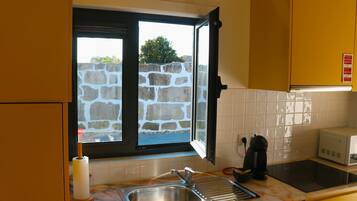 Fridge, microwave, coffee/tea maker, electric kettle