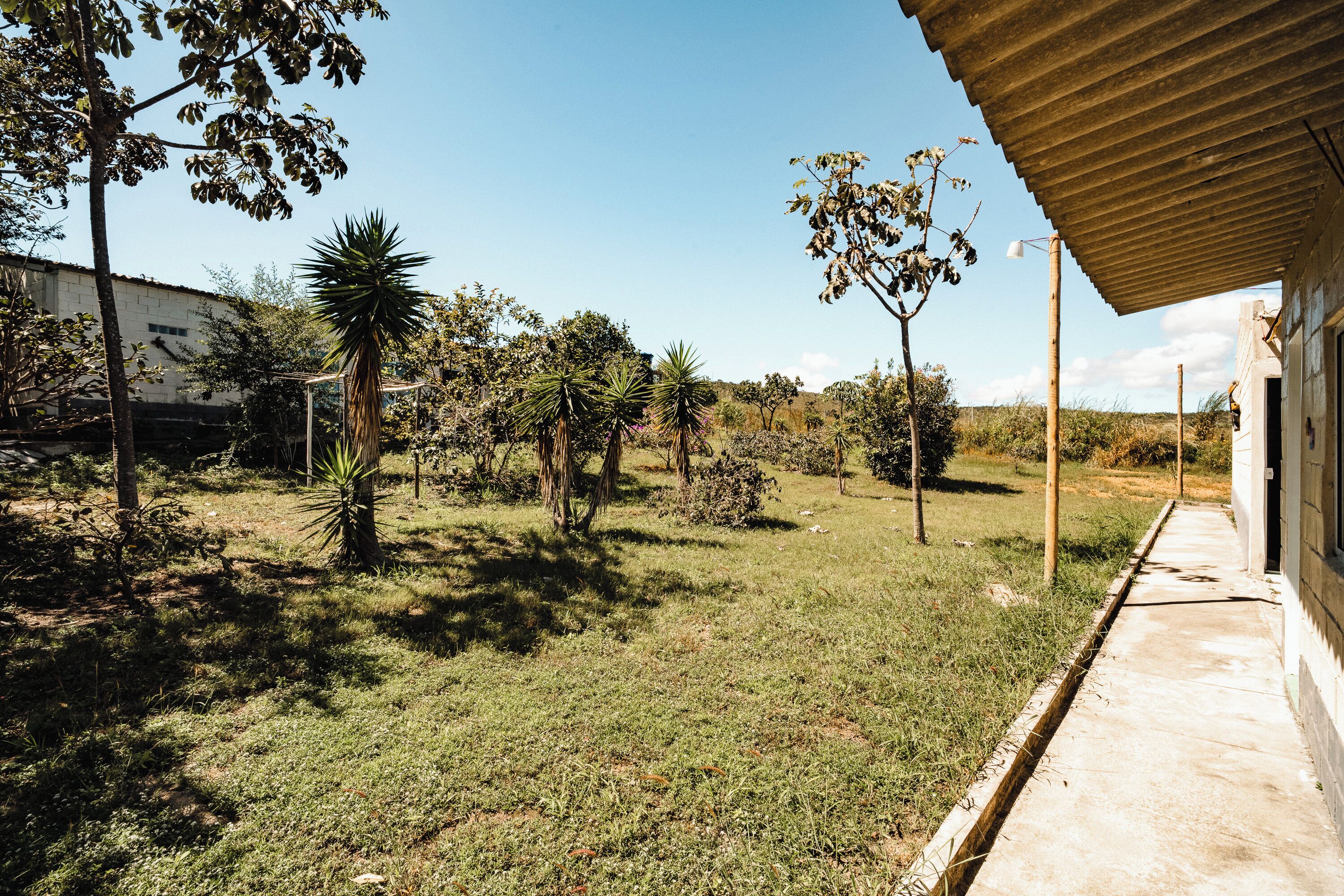 A grassy outdoor area with trees and a building.