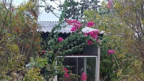 Een pad van stenen leidt naar een modern gebouw met glazen deuren, omgeven door weelderige begroeiing en bloeiende planten.