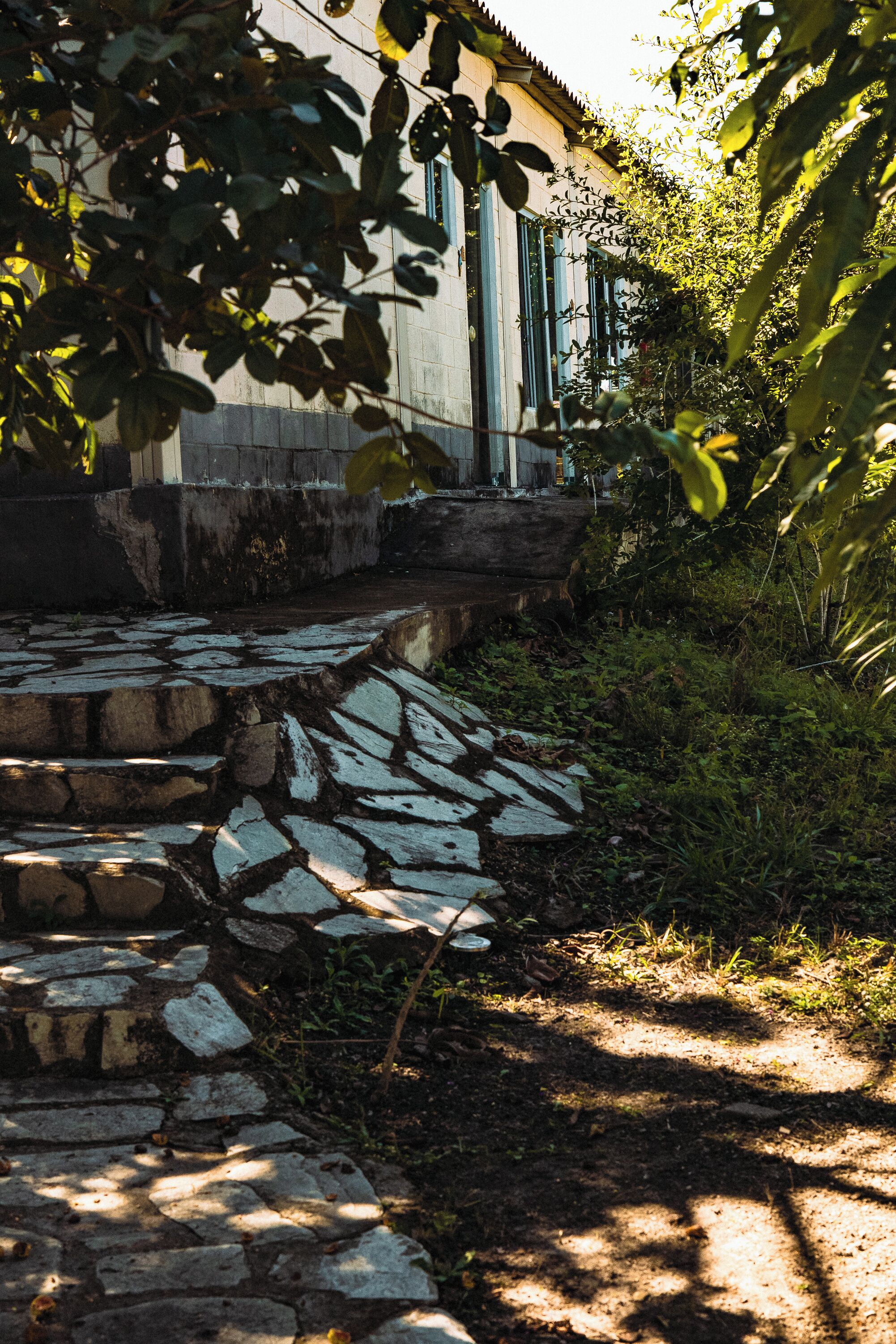 A stone pathway leading to a building with a traditional architectural style, surrounded by lush greenery.