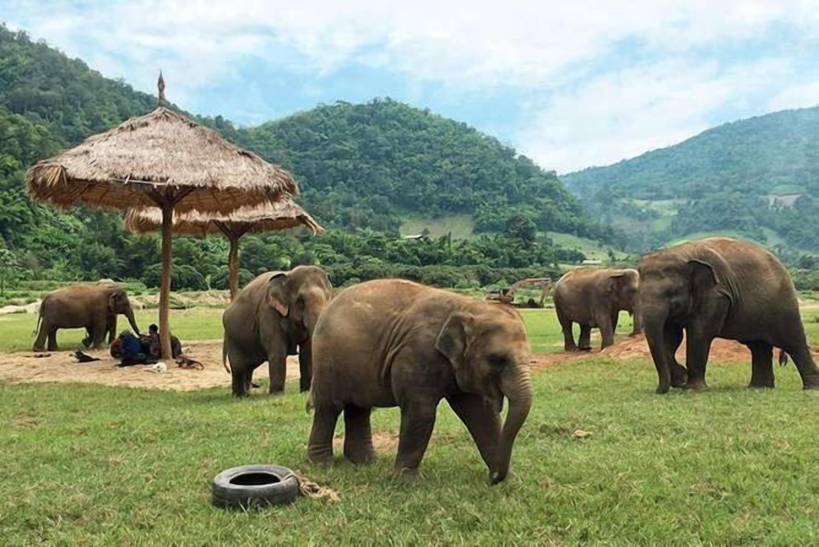 Ecotours