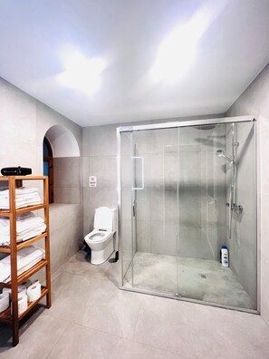 Shower, hair dryer, towels, toilet paper