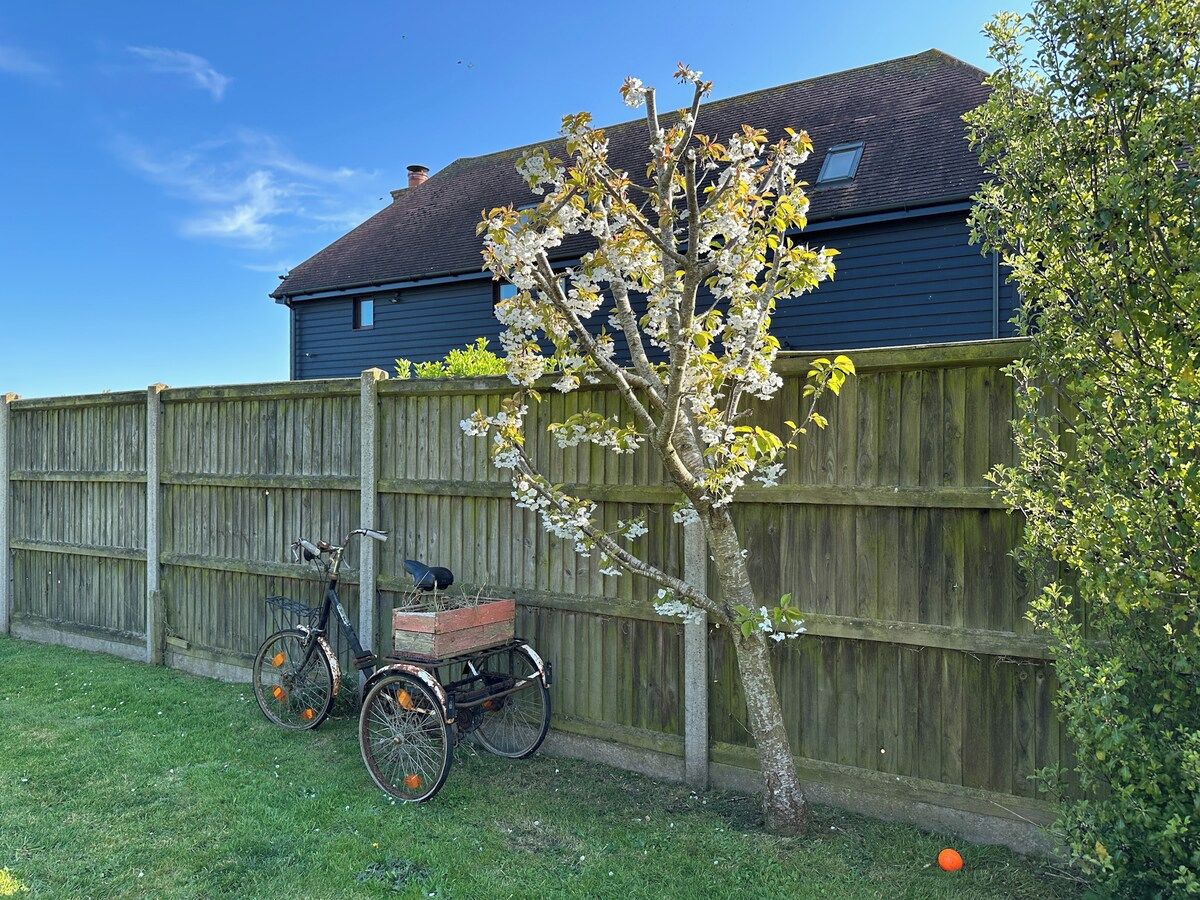En cykel med en korg och ett träd framför ett trästaket.