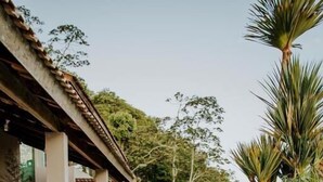 Una piscina con zona cubierta, sillas y plantas en macetas.