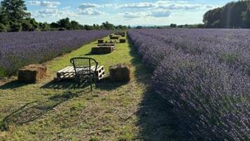 Enceinte de lâhĂ©bergement