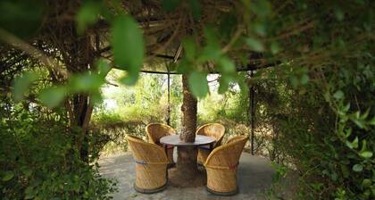 Charming farmhouse retreat with lush gardens and serene views