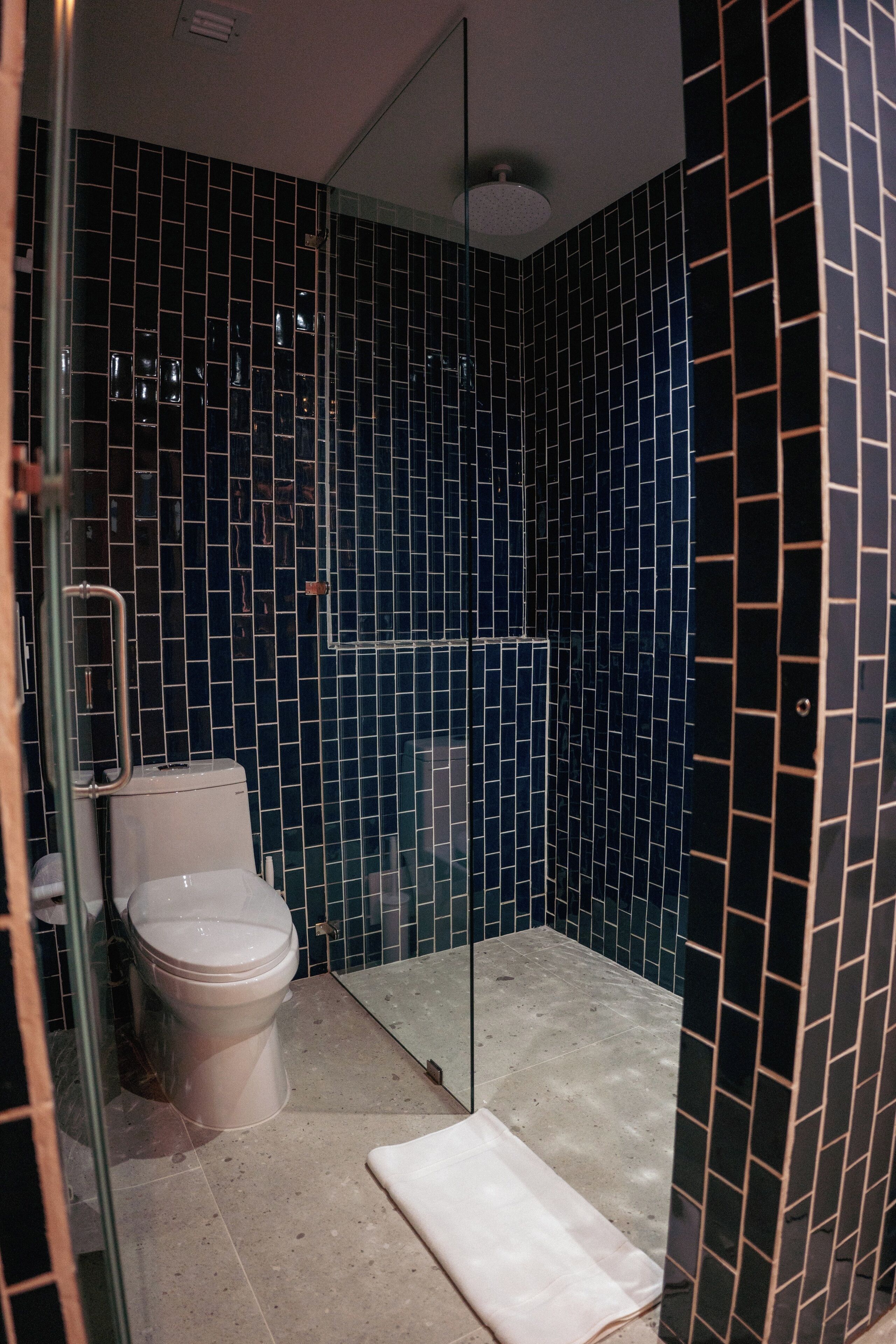 Ein Badezimmer mit Duschkabine, Toilette und Waschbecken.