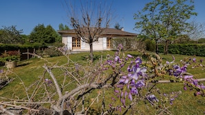 A house with a garden, a tree with purple flowers, and a clear blue sky.
