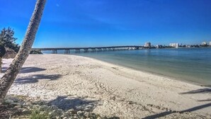A beach with a palm tree, clear blue sky, and a pier extending into the water.