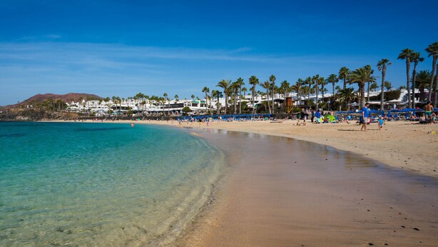 A beach with clear turquoise water, sandy shore, and palm trees. - Playa Flamingo Bellavista (Playa Blanca)