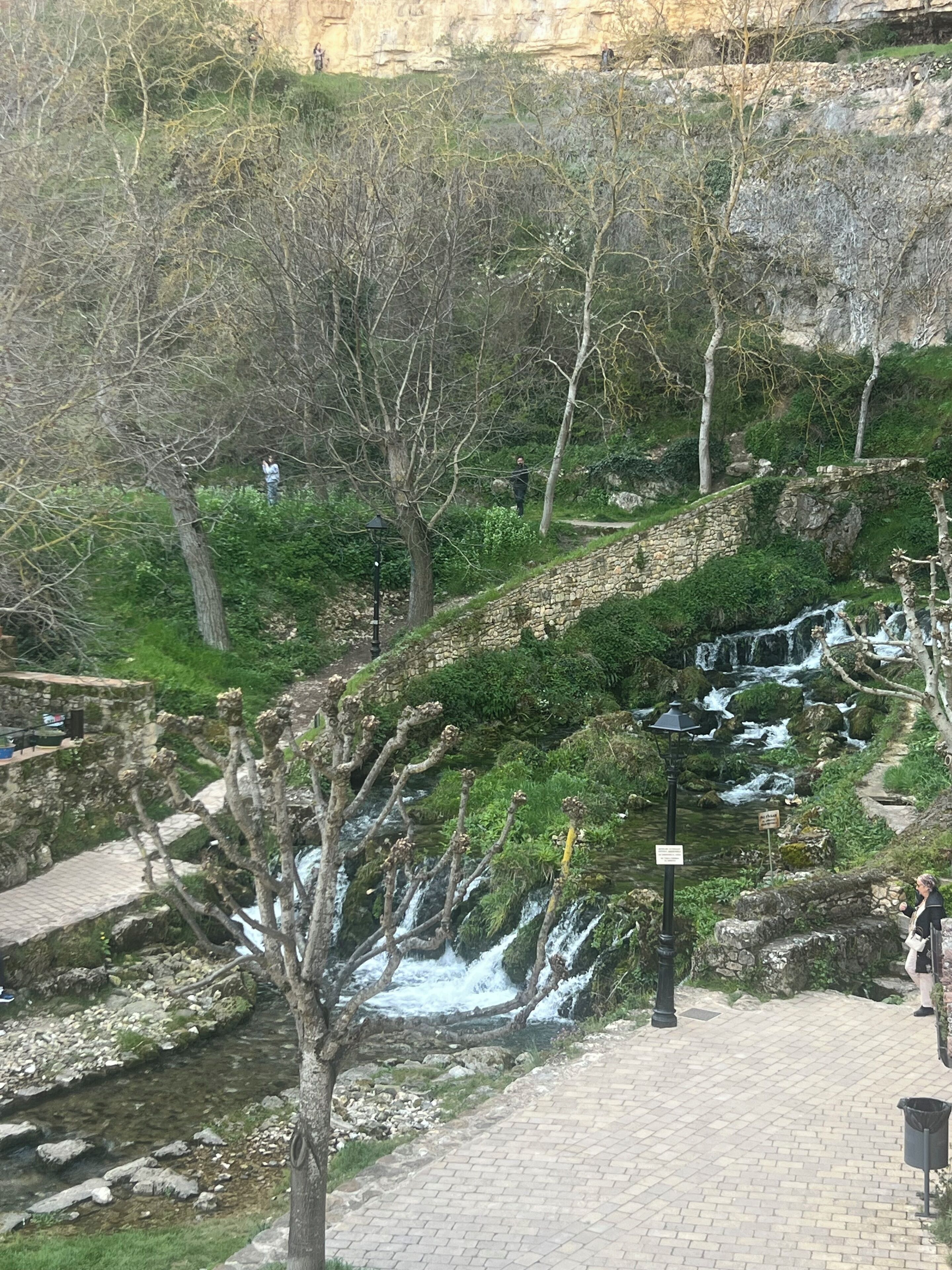 Un camí de pedra que condueix a una cascada, envoltat d'arbres i vegetació.
