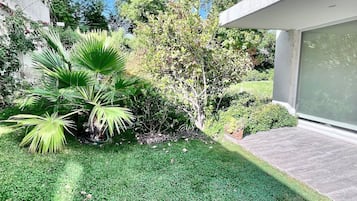 Comfort Apartment | Property grounds