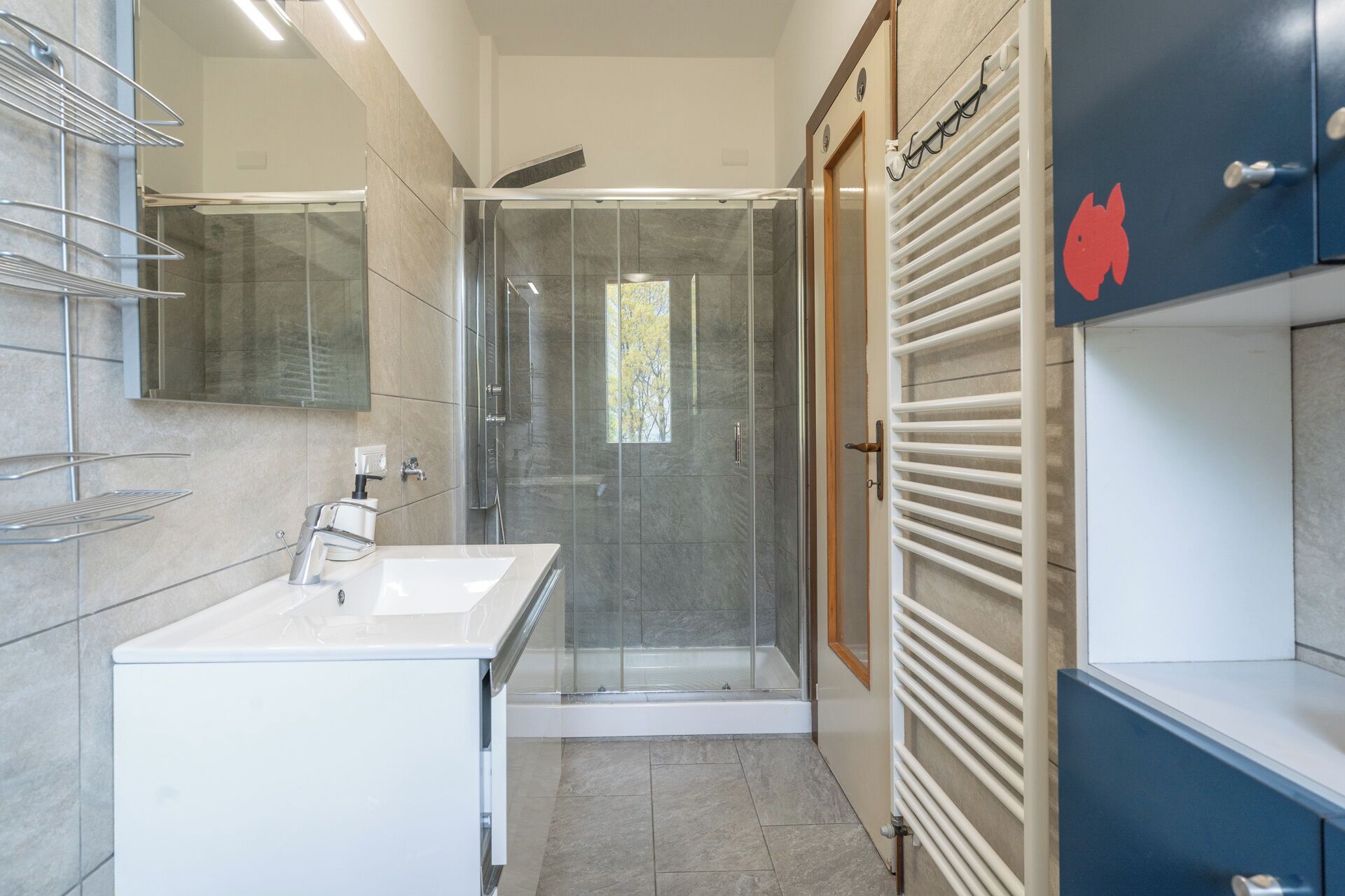 Regadera, secadora de cabello, bidet, shampoo 
