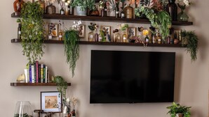 A living room with a TV, green and orange sofas, and shelves with plants and books. - The Artisan's Duplex - 8Bd/5.5Bth w/2 Car Parking! (Philadelphia)