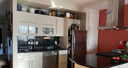 Charming 2+ bedroom condo with AC, WiFi in wonderful Brooklyn